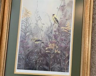 #214	Yellow Hammer Bird Signed & Numbered C. McClung 77/450	 $75.00 
