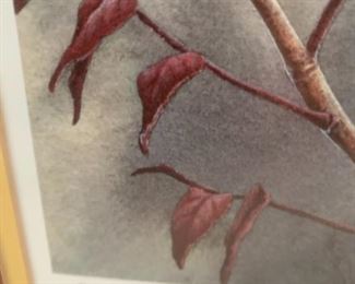 #215	Nuthatch Bird Print Signed & Numbered C. McClung  77/450	 $75.00 
