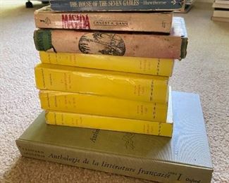 Huckleberry Finn Hawthorne And Robinson Crusoe