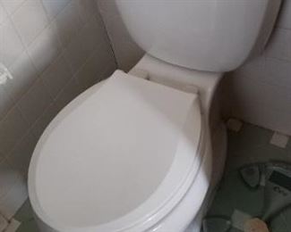 Kohler toilet