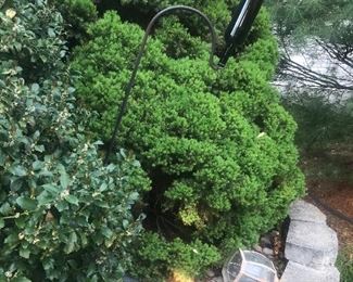 Items Located In The Back Yard