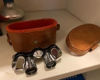 Opera glasses with case