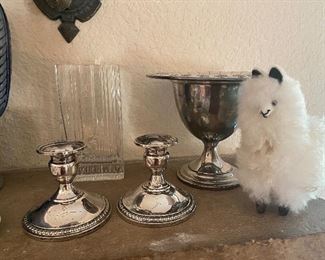 Sterling, little llama