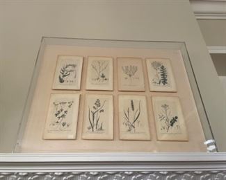 Set of 8 Antique Botanicals Framed in Plexiglass Frame. Measures approximately 36” W x 30” H. 