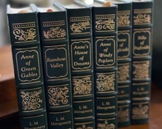 Sample of Leather Bound Classic Books. 