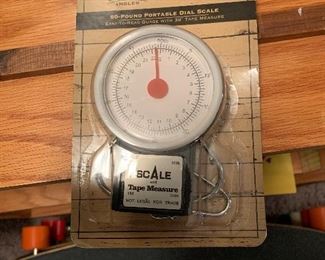 Outdoor angler scale and tape measure