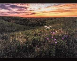 2022 Bean Scott, Late Summer