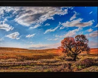 2022 Hutchison Jean, Autumn in the Flint Hills