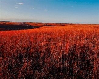 2022 Kline Jeffrey, Fall Prairie