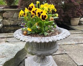 Cement pot with pansys