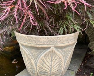 Cement pot