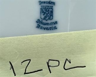 Dresden Schumann Bavarian China set (12 pc)