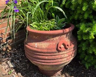 Clay pot with flowers