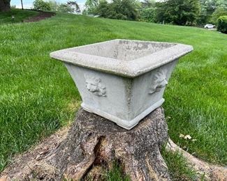 Lion faced cement outdoor planter