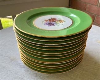Royal Bavarian Hutschenreuther Green floral motif plates (14pc)