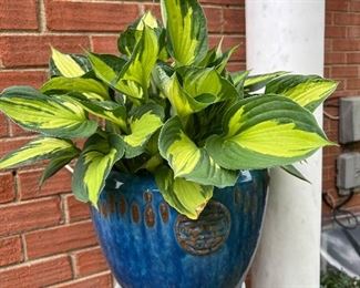 Oriental glazed metal outdoor pot