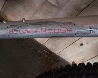 Silver Ridge Men's Bike