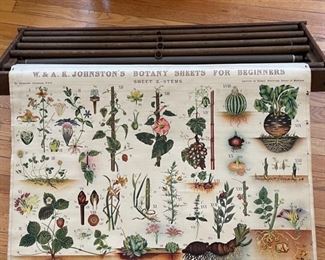 RARE PA school house Botanical school charts