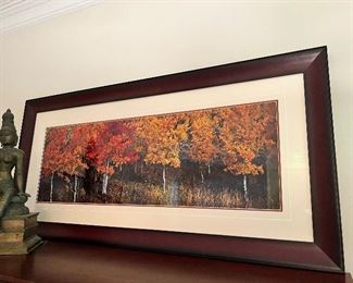 Thomas D. Mangelsens Images of Nature
“Indian Summer Aspens”
Edition No. 71/2500
Size 16” X 47”
