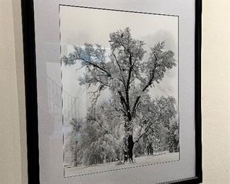 Artist:Ansel Adams
“OakTree, Snow storm”
Yosemite 
Photographic Print