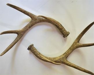 Antlers