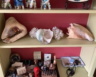 Giant shells; souvenirs