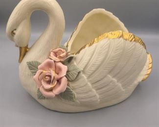 Beautiful swan