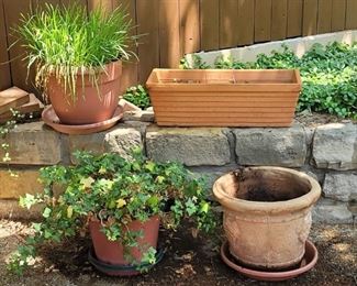 (4) Outdoor Planters, 2 have live plants