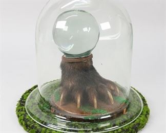 85	Found Object Art Bear Paw Taxidermy Crystal Ball	"Found object art bear taxidermy crystal ball. American, 20th Century. A taxidermized bear paw fitted with a crystal ball, set in a natural setting with faux moss and tree stump, covered by glass dome. Crystal ball is loose on bear paw. 
12"" H x 13"" L"
