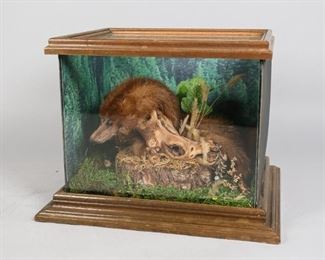 92	Mink Taxidermy in Display Case	"Mink taxidermy in display case. Late 20th Century. Mink taxidermy sitting in a woodland setting with faux grass, greenery and tree stump. 

9"" H x 12"" L x 10"" W"
