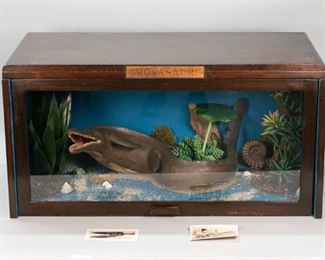 115	Handmade Dinosaur Diorama	Handmade dinosaur diorama. Painted wood Mosasaurus. Acrylic plants with stones, sand and shells. Wood display cabinet with glass. Brass name plate to the top of the stand. Electrified. Also included are two postcards of Mosasaur fossils at the New Jersey State Museum. From the preparator John Lukenda. 33 1/2" L x 16 1/2" D x 17" H. Scuffing, wear, and nicks to cabinet throughout, crack to the bottom of the model Mosasaur. Repair to right wood panel.
