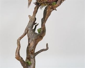 118	Quail Branch Mount Taxidermy	Quail branch mount taxidermy. Painted driftwood branch, wood twig nest. Painted plastic eggs. 28" H. Quail feathers on right wing ruffled, some out of place.
