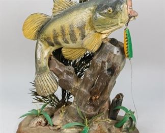 120	Folk Art Largemouth Bass on Driftwood	"Folk art wood carved largemouth bass on driftwood stand. Painted and varnished. Later greenery added to the front and back. 13"" L x 7"" W x 15 1/2"" H. Unsigned. Splitting to the wood, bass detached from driftwood on front. 
"
