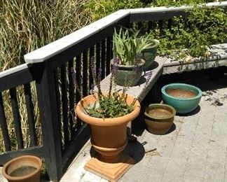 Terracotta and ceramic pots and plants