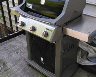 Weber Smart propane gas grill