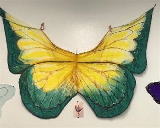 Many butterfly wings