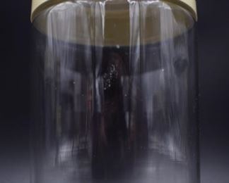 Vintage Pyrex Corningware Spice of Life Storage Container