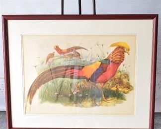 Pheasant Watercolor Painting