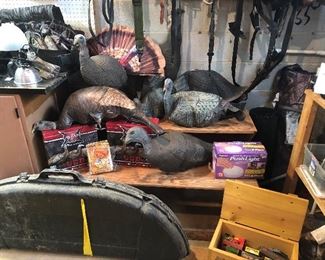 Turkeys and hunting supplies