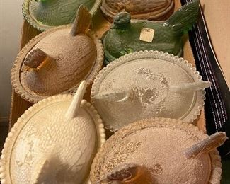 Several Hen on Nests