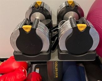 Gold Gym Adjustable Dumb Bells