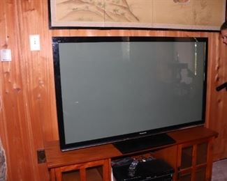 50" Plasma TV
