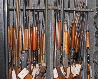 D80 0419 crop Shotguns and Rifles