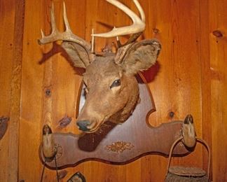 D80 0473 Crop Wall Mount Deer