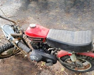 Rupp Roadster Small Cycle