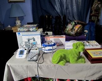 various misc items, plus envious dog.