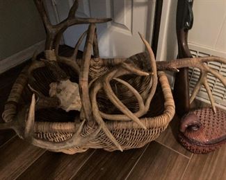 More antlers; basket