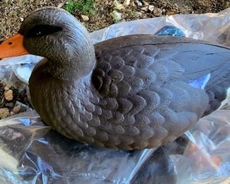 Mallard Duck decoys