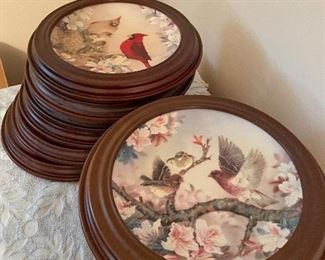 Several round bird art works.