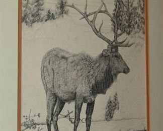 Elk pen/ink drawing by Dee Shriver
